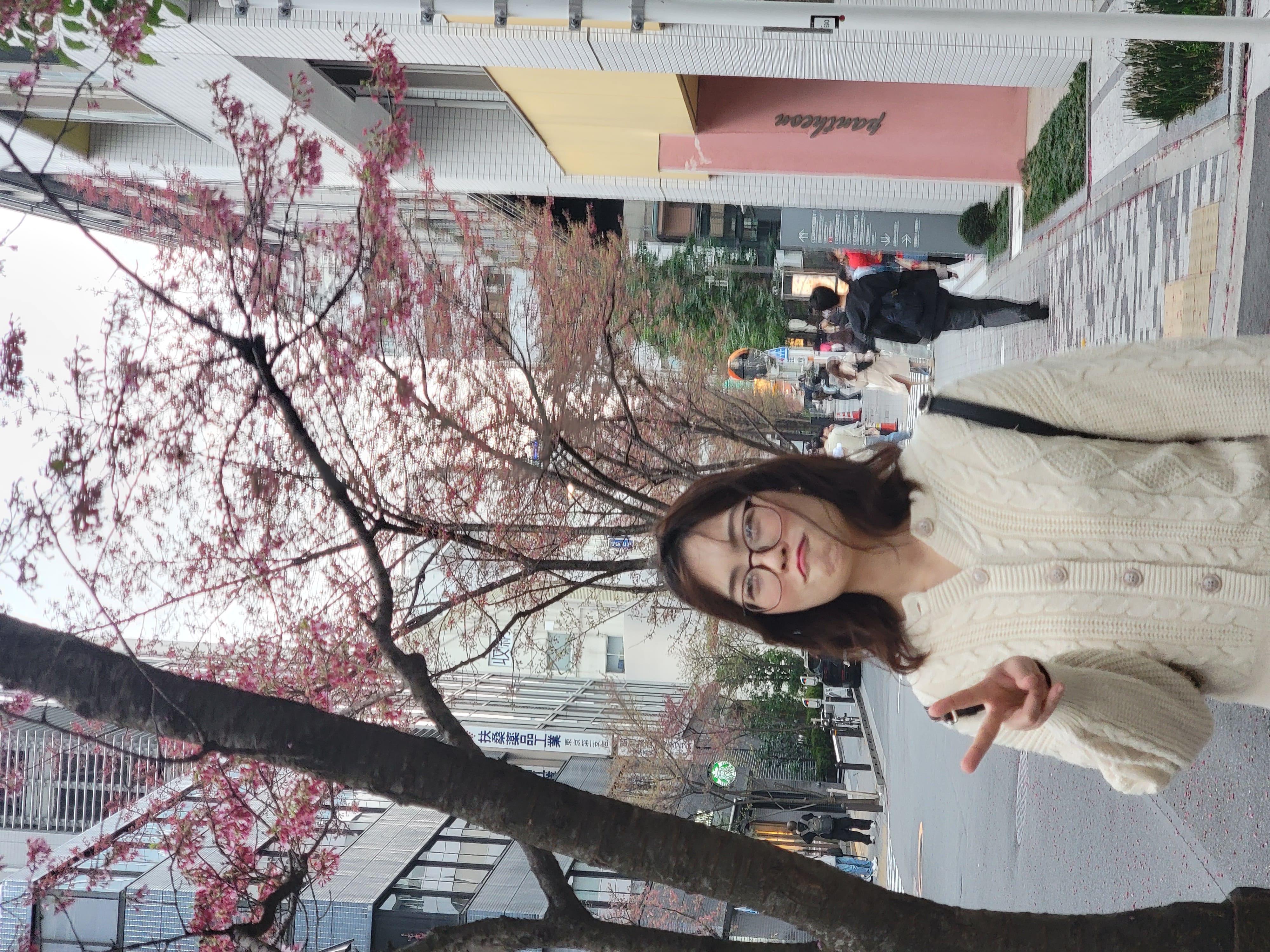 Description for image 2